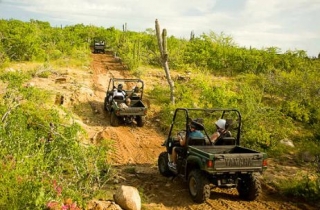 Buggies Baja California